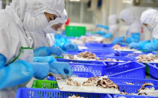 Áp lực cạnh tranh từ thuế quan của Mỹ, doanh nghiệp thủy sản đề xuất 2 gói hỗ trợ 