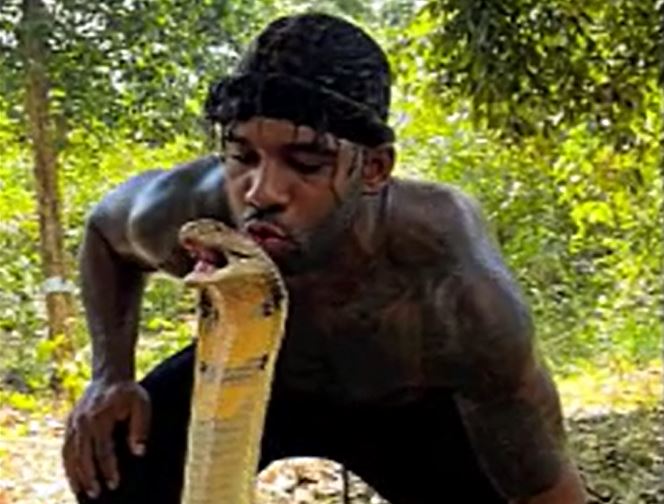 CLIP: Liều lĩnh hôn rắn hổ mang chúa 'khủng', người đàn ông nhận cái kết khó tin