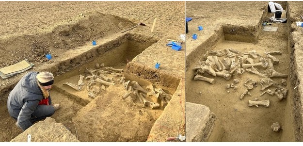 Khám phá nghĩa địa 25.000 năm tuổi của những quái vật khổng lồ thời băng hà