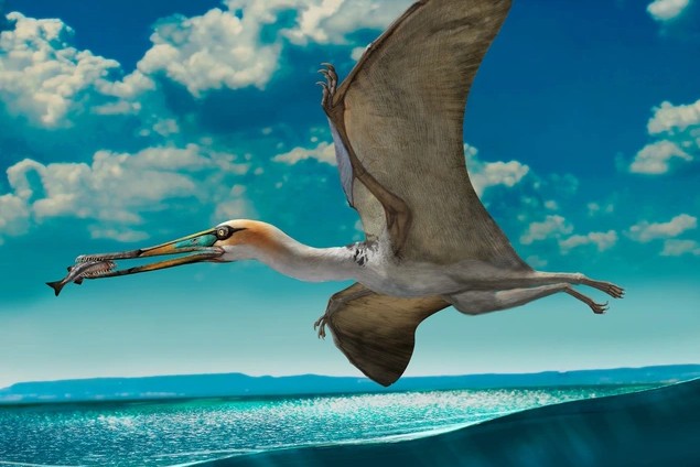 Phát hiện sinh vật kỳ bí 147 triệu năm tuổi trong mỏ đá tại Anh