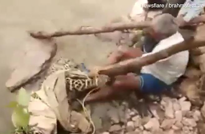 CLIP: Liều mình giải cứu báo đốm, người đàn ông bị loài mèo lớn tấn công và cái kết