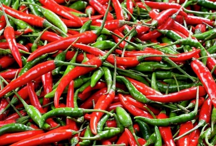 Vì sao ớt lại có vị cay? – Bí mật đằng sau cảm giác 'bỏng miệng'