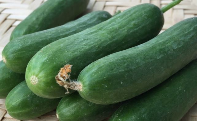 Chọn dưa chuột: Đừng vội tin quả còn hoa, mẹo nhỏ để tránh mua phải dưa phun thuốc