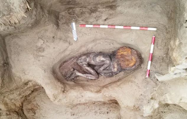 Phát hiện ngôi mộ 5.000 năm tuổi của nữ quý tộc Peru, chôn cùng mỏ chim tu-căng quý hiếm