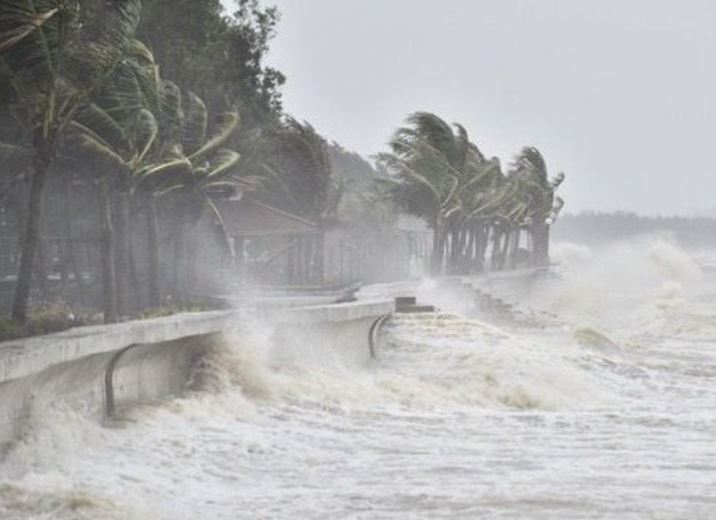 Bí ẩn phía sau những cơn áp thấp nhiệt đới: Chúng hình thành như thế nào?