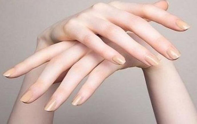 Bàn tay búp măng – Dấu hiệu số sướng hay khổ theo quan niệm dân gian và nhân tướng học