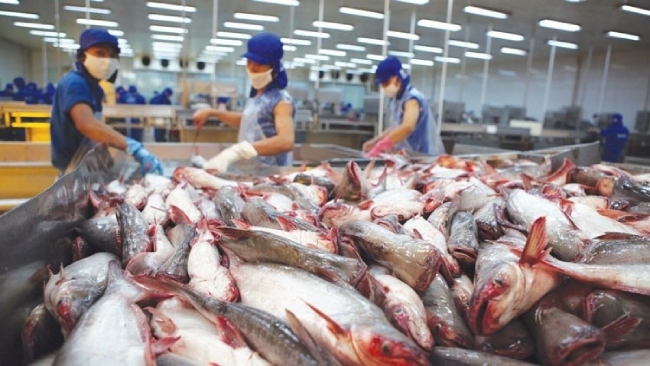 Doanh nghiệp thuỷ sản đối mặt ba nỗi lo