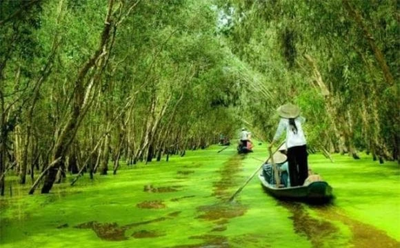 Dòng sông cắt đôi 2 khu rừng của Việt Nam