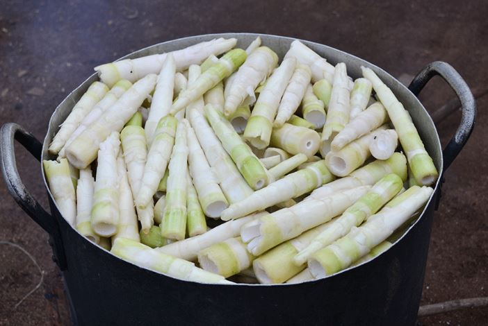 Bí quyết luộc măng tươi hết đắng, khử độc: Thêm loại nước nhà nào cũng có