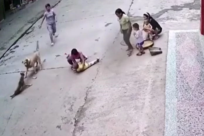 Ảnh cắt từ clip.