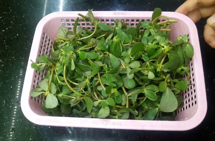 T&#x1EEB; rau d&#x1EA1;i cho l&#x1EE3;n &#x103;n &#x111;&#x1EBF;n &#x27;v&#xE0;ng xanh&#x27; tr&#xEA;n m&#xE2;m c&#x1A1;m: Rau sam &#x111;&#x1B0;&#x1EE3;c s&#x103;n l&#xF9;ng nh&#x1EDD; c&#xF4;ng d&#x1EE5;ng v&#x1B0;&#x1EE3;t tr&#x1ED9;i, gi&#xE1; r&#x1EBB; b&#x1EA5;t ng&#x1EDD;