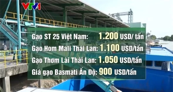 Gạo Việt đắt hàng - Ảnh 1. Gạo Việt đắt hàng - Ảnh 1.