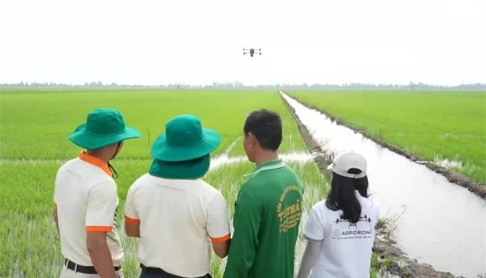 Gạo Việt đắt hàng - Ảnh 2. Gạo Việt đắt hàng - Ảnh 2.
