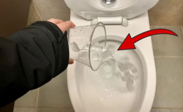Đổ đá lạnh vào bồn cầu: Việc làm đơn giản, lợi ích to lớn