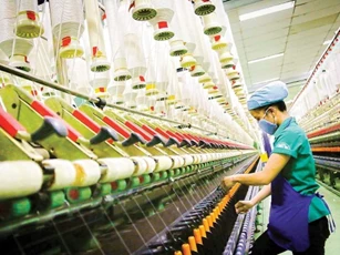 Doanh nghiệp cần chú trọng, kịp thời nắm bắt chính sách