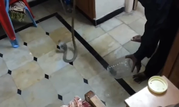 Ảnh cắt từ clip.