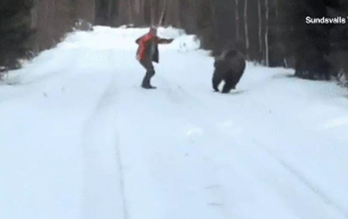 CLIP: Bị gấu 'khủng' tấn công, người đàn ông làm ra hành động khiến con vật sợ hãi bỏ chạy