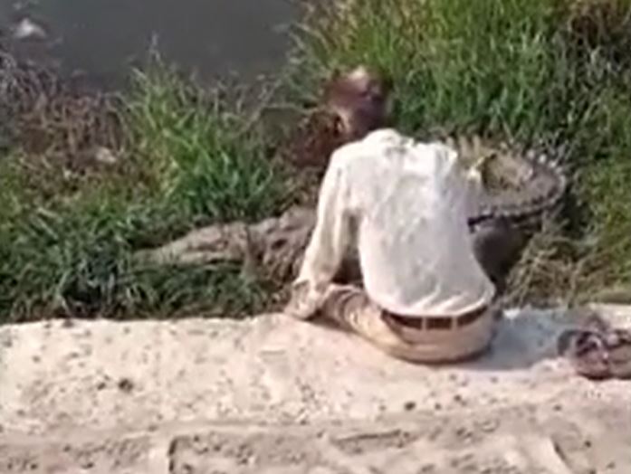 CLIP: Say rượu, người đàn ông ngồi tâm sự với cá sấu nhưng cái kết mới 'thót tim'