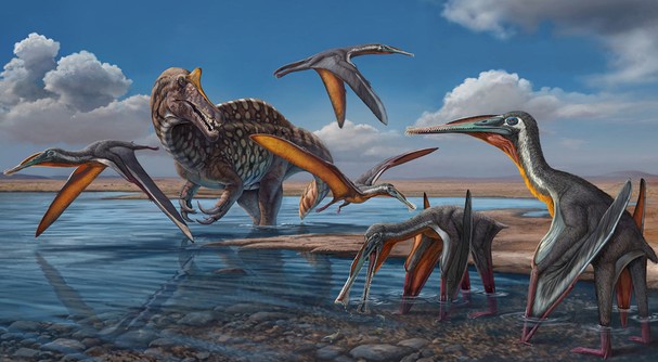 Loài quái vật cổ đại lần đầu lộ diện tại Thái Lan: “Chúa tể bầu trời” cách đây 130 triệu năm