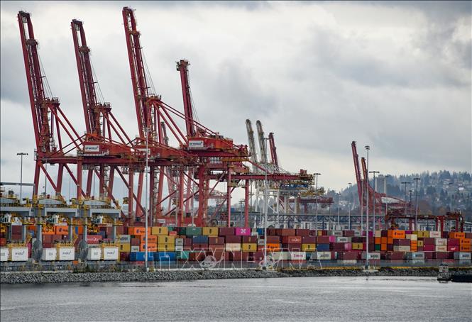 Doanh nghi&#x1EC7;p chuy&#x1EC3;n h&#x1B0;&#x1EDB;ng c&#x1EA5;t tr&#x1EEF; h&#xE0;ng t&#x1EA1;i Canada &#x111;&#x1EC3; tr&#xE1;nh thu&#x1EBF; M&#x1EF9;