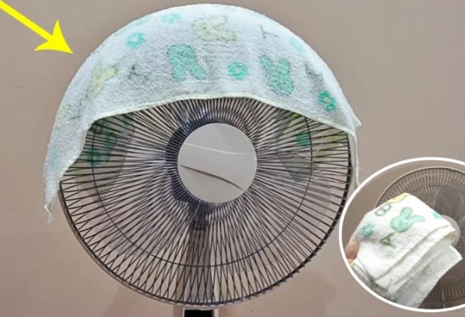 Mẹo hay ngày hè: Đặt khăn lạnh lên quạt, bí quyết làm mát đơn giản, hiệu quả bất ngờ
