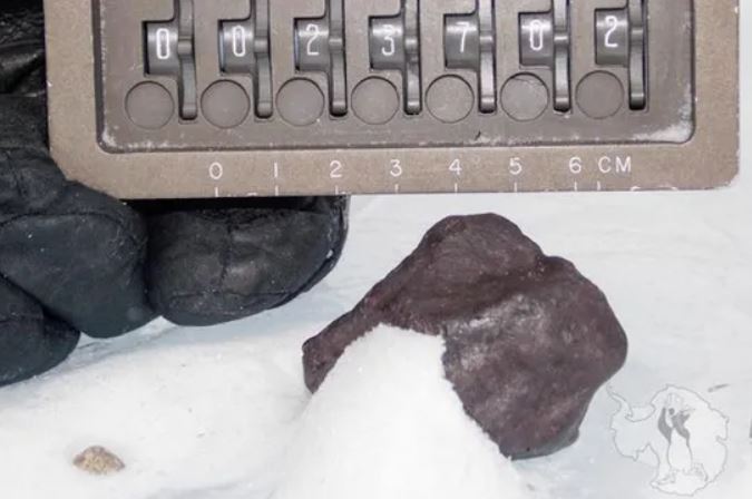 Phát hiện thiên thạch ở Nam Cực có thể làm thay đổi hiểu biết về nguồn gốc nước trên Trái Đất