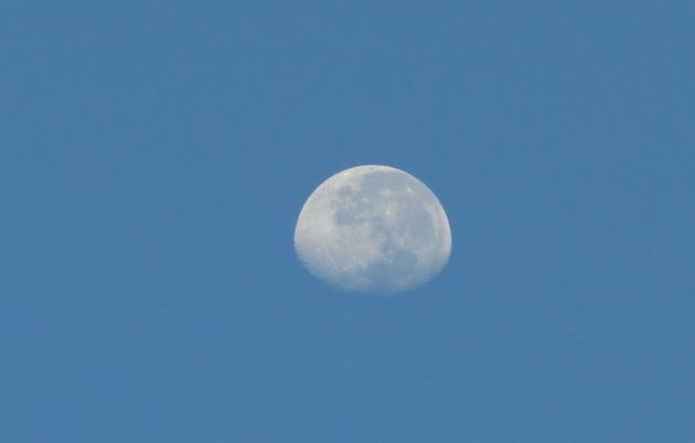 Giải mã nguyên nhân đôi khi mặt trăng xuất hiện trên bầu trời ban ngày