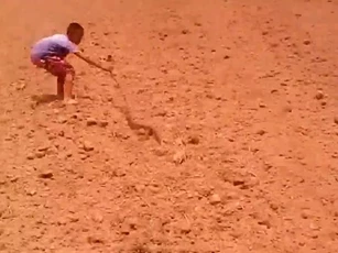 CLIP: Cậu bé 10 tuổi bắt rắn khiến người xem phải trầm trồ
