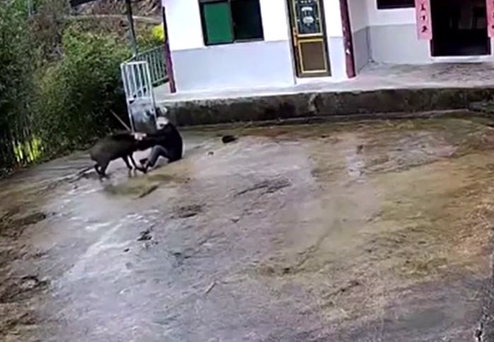 CLIP: Kinh ho&#xE0;ng kho&#x1EA3;nh kh&#x1EAF;c l&#x1EE3;n r&#x1EEB;ng lao v&#xE0;o s&#xE2;n t&#x1EA5;n c&#xF4;ng c&#x1EE5; &#xF4;ng