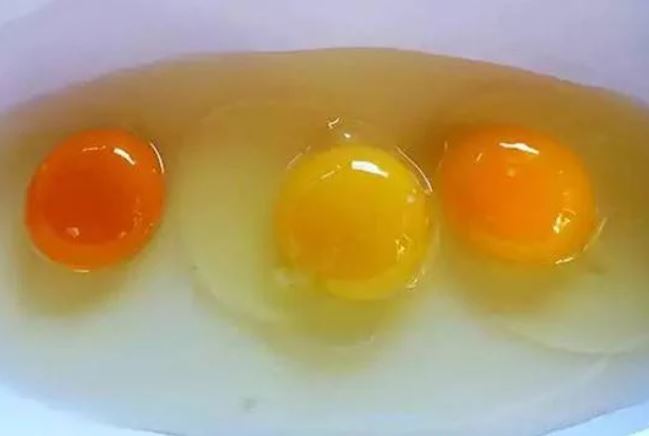 M&#xE0;u s&#x1EAF;c l&#xF2;ng &#x111;&#x1ECF; tr&#x1EE9;ng ti&#x1EBF;t l&#x1ED9; &#x111;i&#x1EC1;u g&#xEC; v&#x1EC1; gi&#xE1; tr&#x1ECB; dinh d&#x1B0;&#x1EE1;ng?