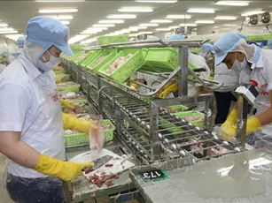 Kỳ vọng hiện thực hóa đưa kinh tế tư nhân từ 'bổ trợ' đến 'dẫn dắt' nền kinh tế