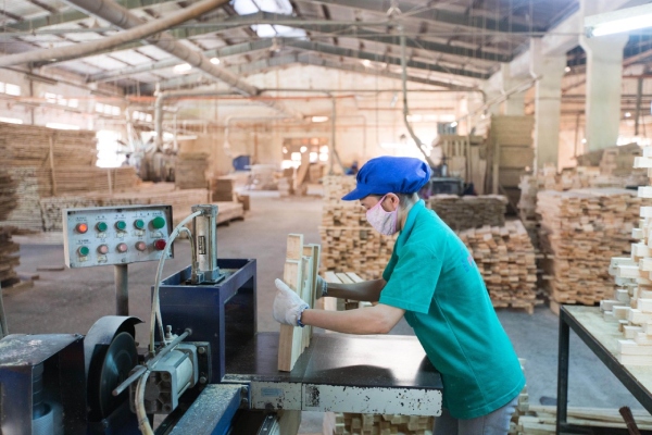 Việt Trung Quảng Bình: Từ nông trường quốc doanh đến doanh nghiệp sáng tạo tiêu biểu toàn quốc