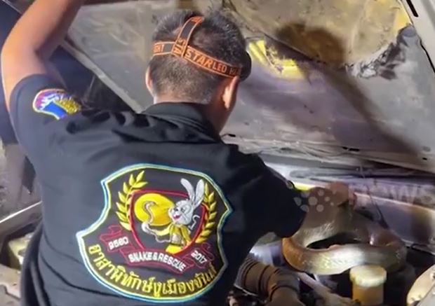 CLIP: Kinh hãi trước màn bắt rắn hổ mua chúa nặng hơn 10kg ẩn nấp trong ô tô