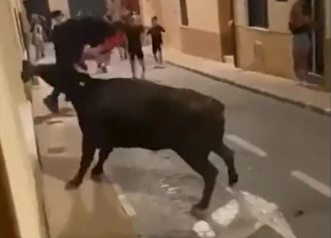 CLIP: Bò tót nổi điên, tấn công dã man thiếu niên giữa đường phố