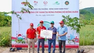 Phú Yên: Trồng hơn 10.000 cây xanh tại rừng phòng hộ Đồng Xuân