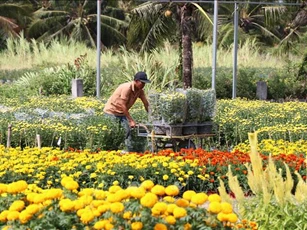 Hỗ trợ 30% chi phí cho nhân rộng mô hình nông nghiệp hiệu quả cao