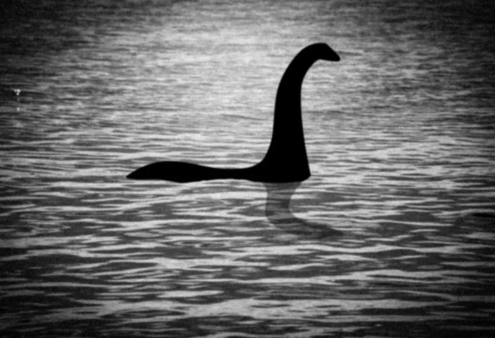 Thợ săn quái vật hồ Loch Ness phát hiện ra 'sinh vật' có bướu trên máy ảnh - 'khả năng duy nhất là Nessie'