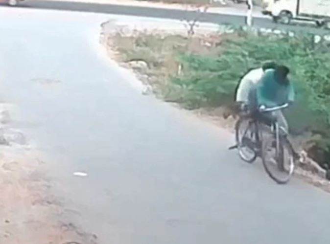 CLIP: Phát hiện rắn hổ mang cuốn vào bánh xe đạp, hai người đàn ông hoảng loạn vứt xe bỏ chạy