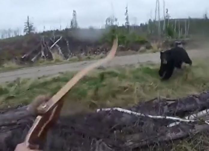 CLIP: Gấu đen lao tới như tên bắn, thợ săn bỏ chạy thục mạng và cái kết hú vía
