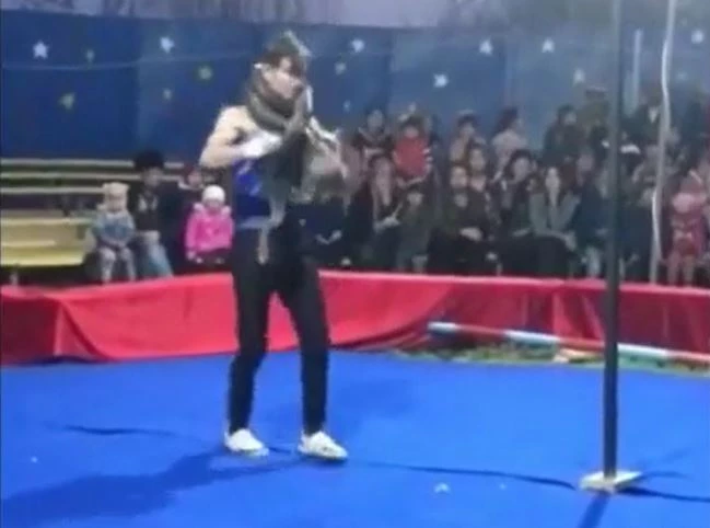 Ảnh cắt từ clip.
