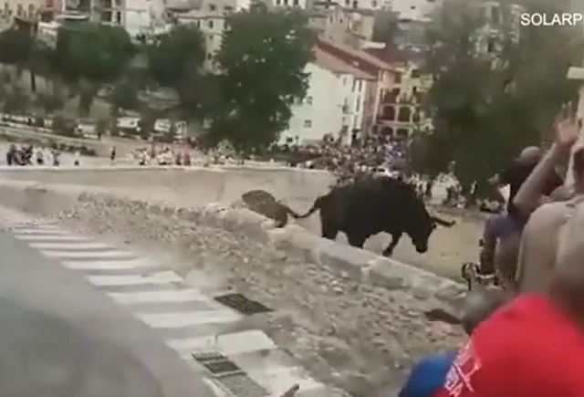 CLIP: Bò tót 580kg lao khỏi lan can, nhảy từ độ cao 15 mét khiến đám đông kinh hoàng