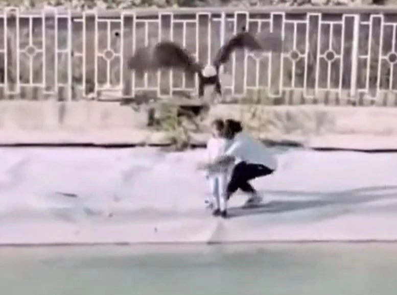 Ảnh cắt từ clip.