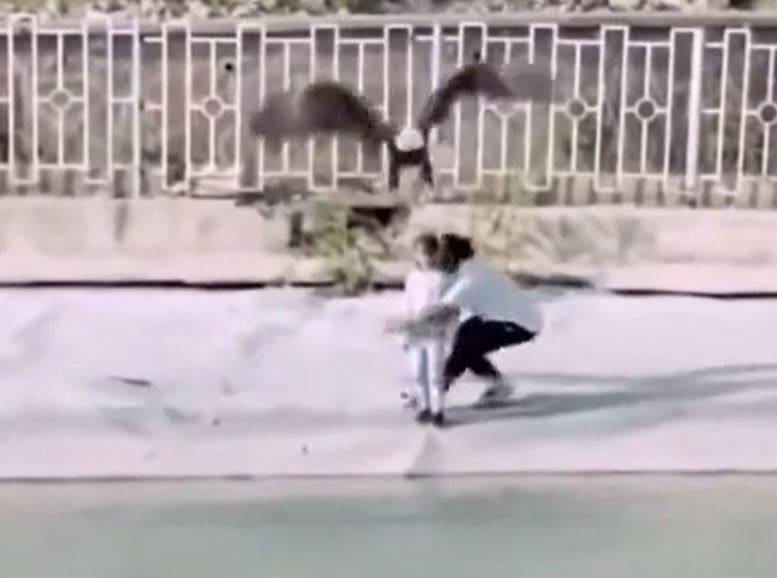 CLIP: Kinh hoàng khoảnh khắc đại bàng sà xuống bắt trẻ em và màn giải cứu đầy kịch tính