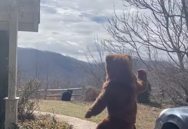 CLIP: Ng&#x1B0;&#x1EDD;i &#x111;&#xE0;n &#xF4;ng &#x111;&#xF3;ng gi&#x1EA3; g&#x1EA5;u &#x111;&#x1EC3; d&#x1ECD;a g&#x1EA5;u &#x111;en r&#x1ED3;i nh&#x1EAD;n l&#x1EA1;i c&#xE1;i k&#x1EBF;t kh&#xF4;ng ai ng&#x1EDD; t&#x1EDB;i