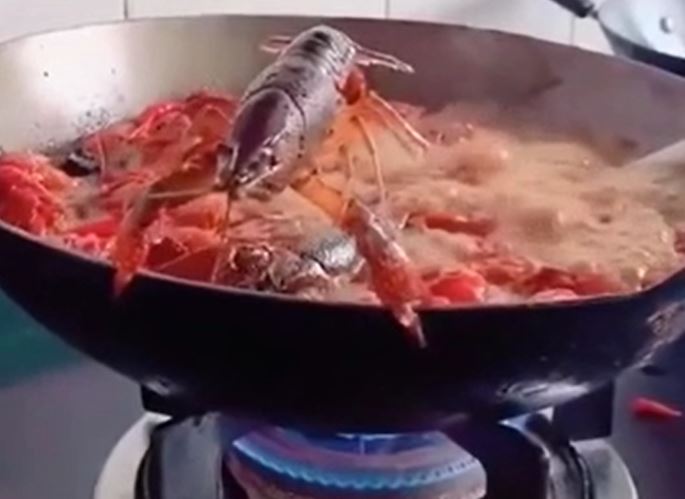 CLIP: Tôm hùm đất tung cú nhảy ngoạn mục, thoát khỏi chảo dầu đang sôi