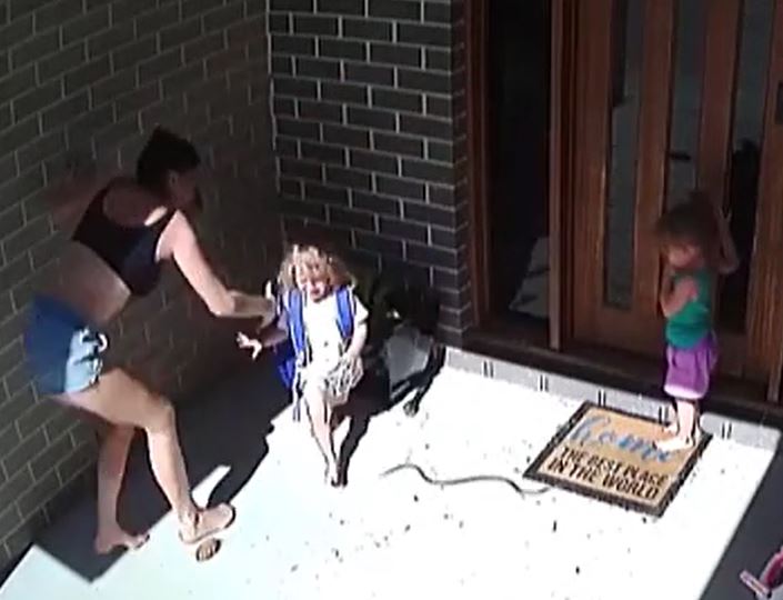 CLIP: Mẹ phản ứng siêu nhanh, thành công giải cứu 2 con nhỏ khỏi rắn độc cắn