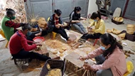 Tạo sinh kế bền vững cho người dân sau thiên tai: Bài cuối: Xây dựng các mô hình kinh tế thích ứng với thiên tai