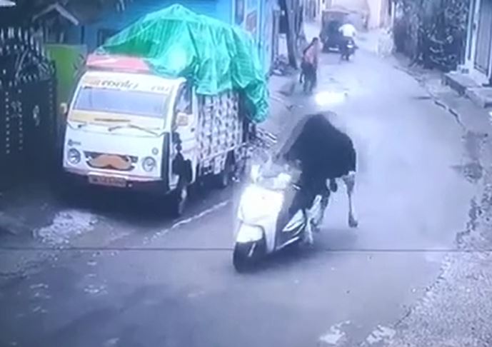 CLIP: Ph&#xEC; c&#x1B0;&#x1EDD;i tr&#x1B0;&#x1EDB;c kho&#x1EA3;nh kh&#x1EAF;c b&#xF2; &#x111;&#x1EF1;c &#x111;i&#x1EC1;u khi&#x1EC3;n xe m&#xE1;y, ch&#x1EA1;y nh&#x1B0; bay tr&#xEA;n &#x111;&#x1B0;&#x1EDD;ng ph&#x1ED1;