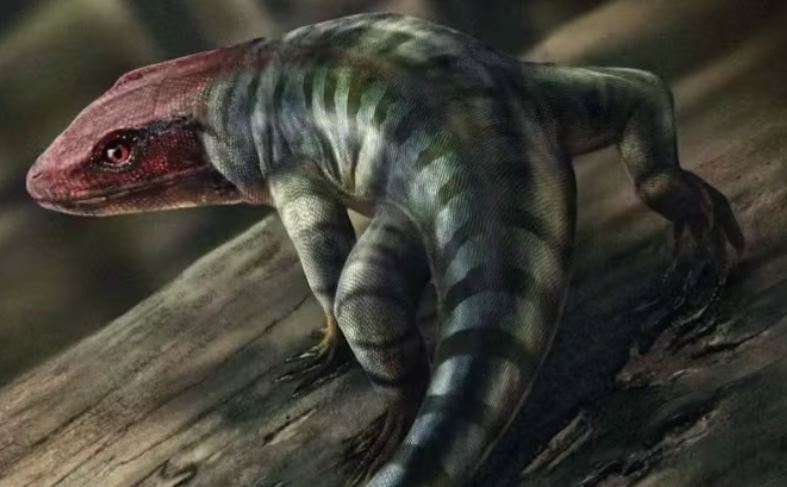 Các nhà khoa học phát hiện ra dấu vết bò sát cổ nhất, viết lại dòng thời gian tiến hóa