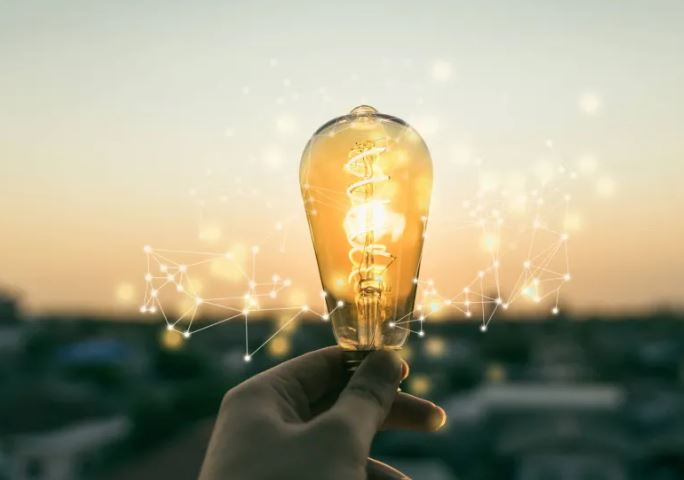 Phát hiện chấn động: Sinh vật có khả năng dẫn điện như một sợi dây sống